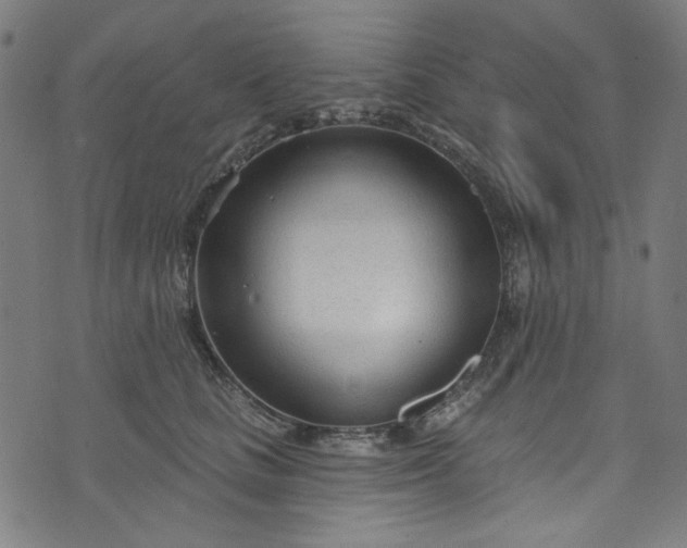 X0000073730661200608171230