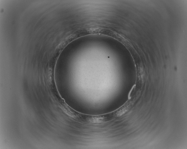 X0000073730664200608171230