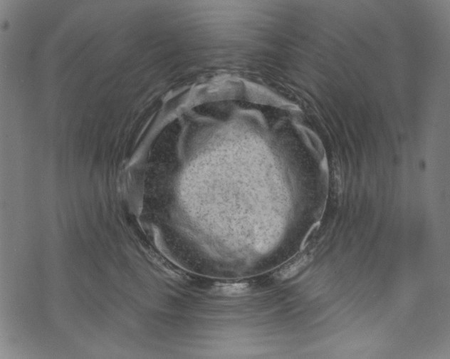 X0000073730665200608171230