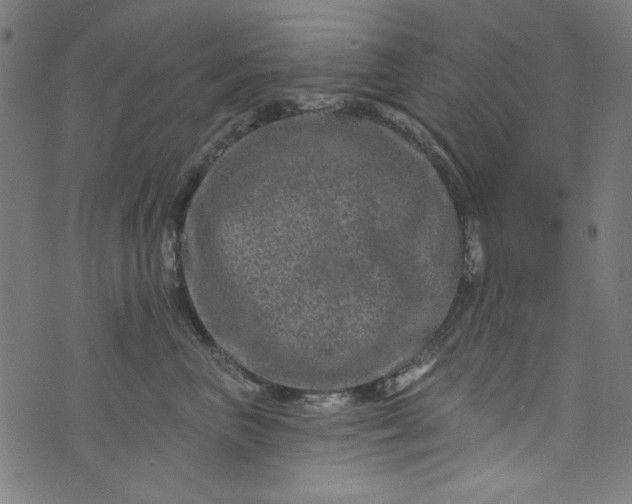 X0000073730667200608171230