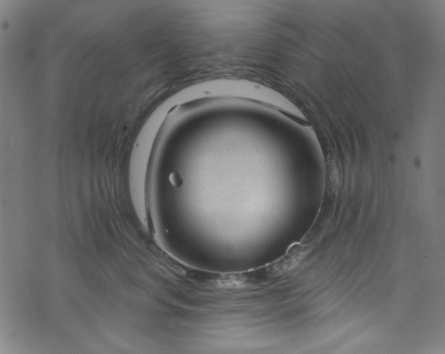 X0000073730668200608171230