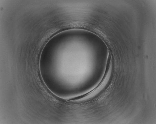 X0000073730673200608171229