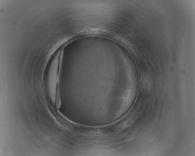 X0000073730674200608171229