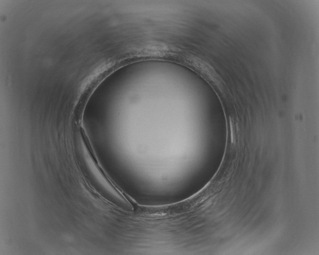 X0000073730675200608171229