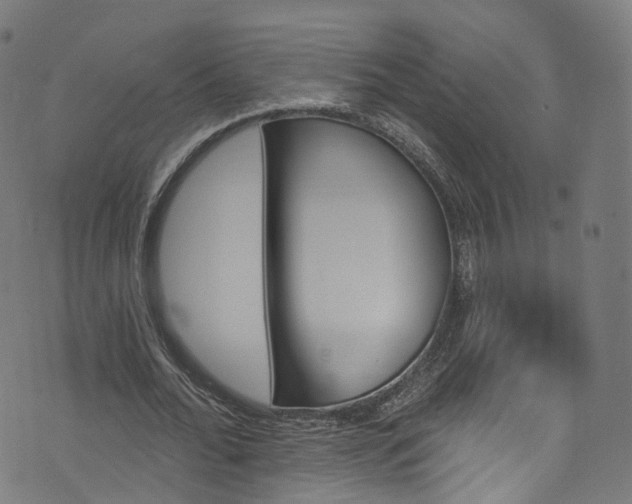 X0000073730676200608171229