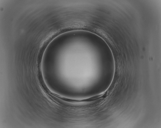 X0000073730677200608171229