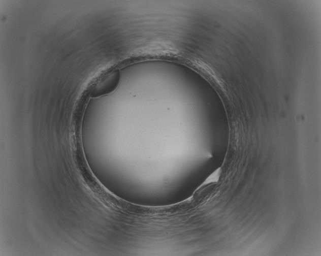 X0000073730680200608171229