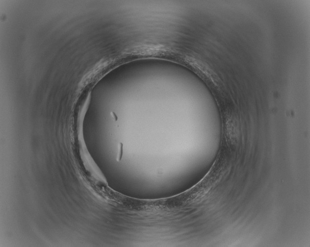 X0000073730682200608171229