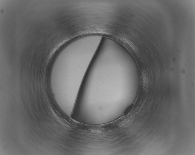 X0000073730684200608171229