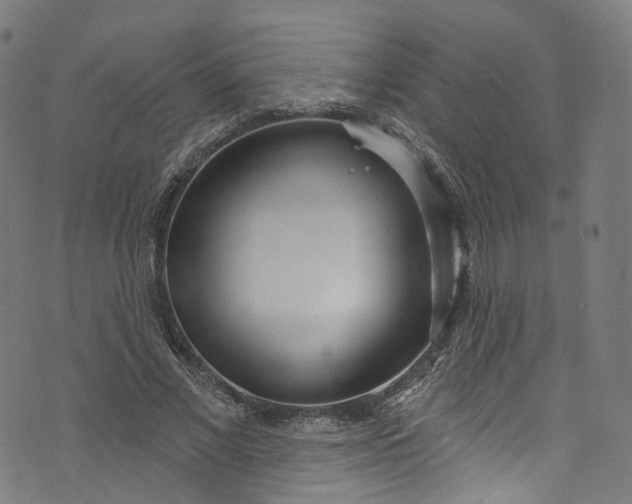 X0000073730685200608171229