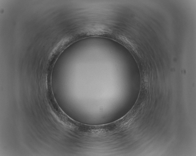 X0000073730686200608171229