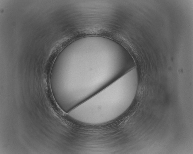 X0000073730688200608171229