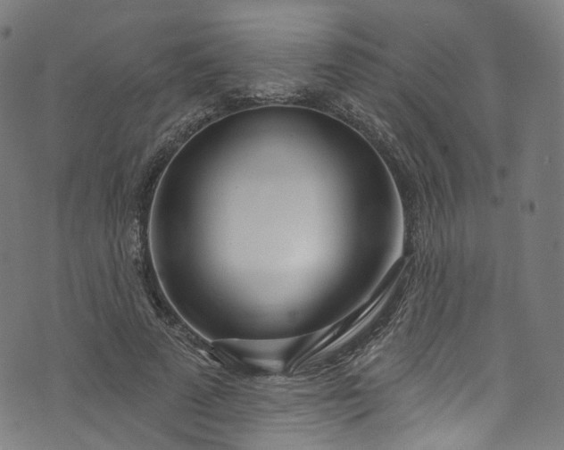 X0000073730689200608171229