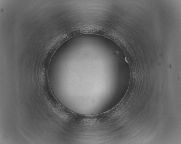 X0000073730690200608171229