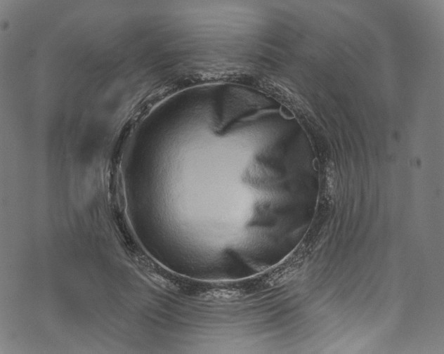 X0000073730691200608171229