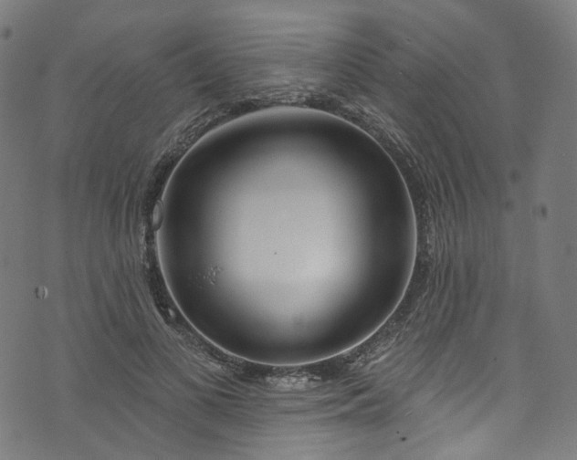 X0000073730693200608171229