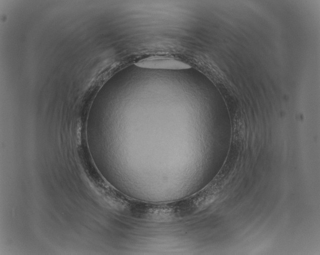 X0000073730694200608171229