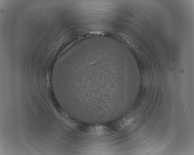 X0000073730695200608171229