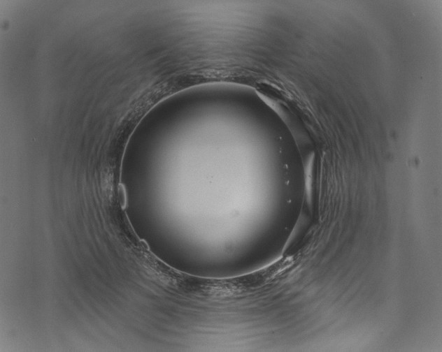 X0000073730697200608171229