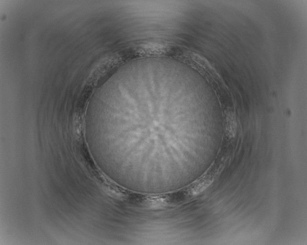 X0000073730701200608171229