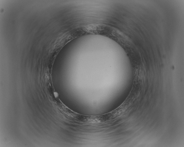 X0000073730702200608171229