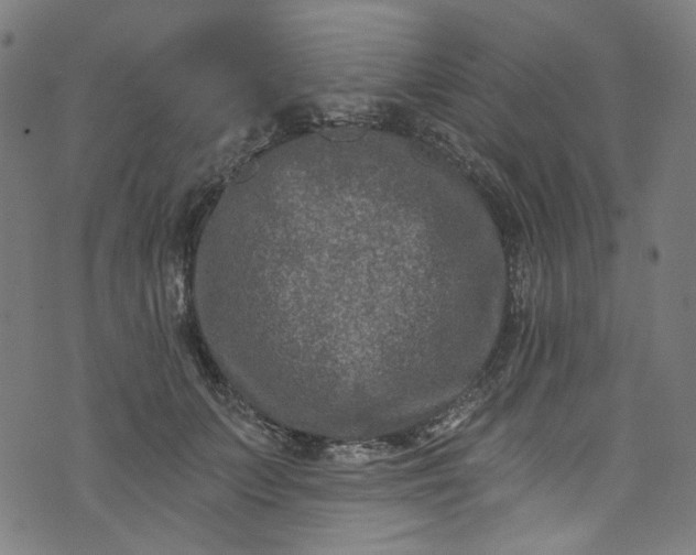 X0000073730703200608171229