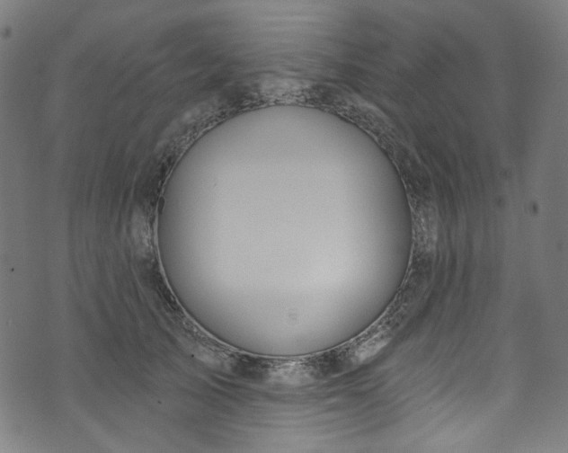 X0000073730705200608171229