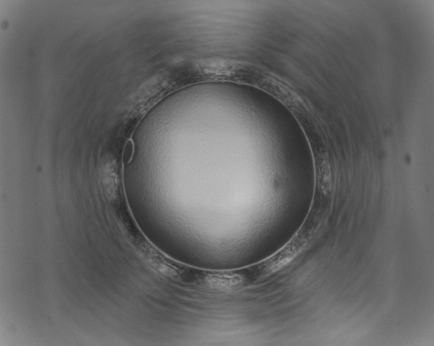 X0000073730707200608171229