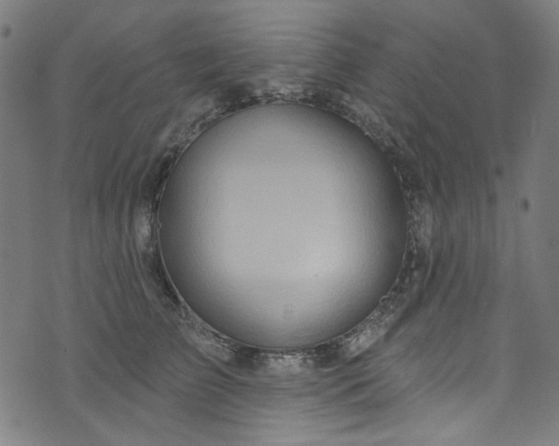 X0000073730709200608171229