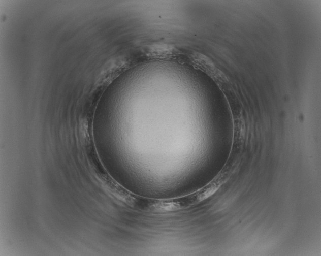 X0000073730711200608171229