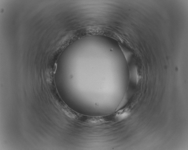 X0000073730712200608171229