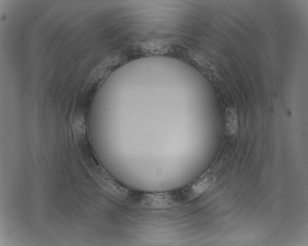 X0000073730713200608171229