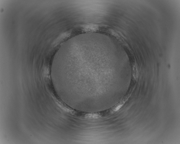 X0000073730714200608171229