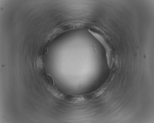 X0000073730715200608171229