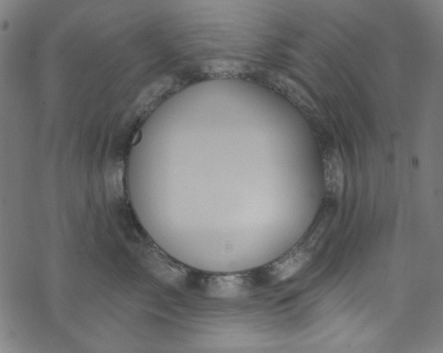 X0000073730717200608171229