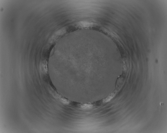 X0000073730718200608171229