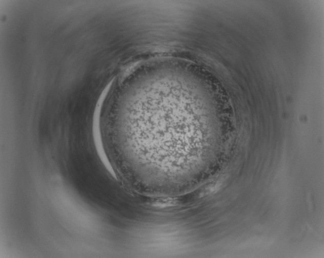 X0000073730720200608171229