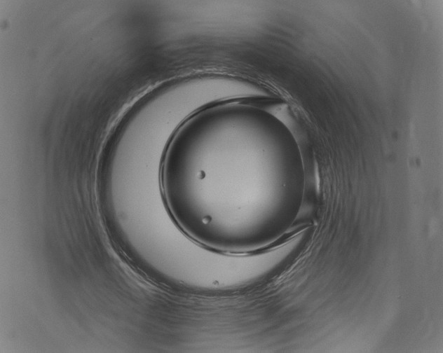 X0000073730722200608171228