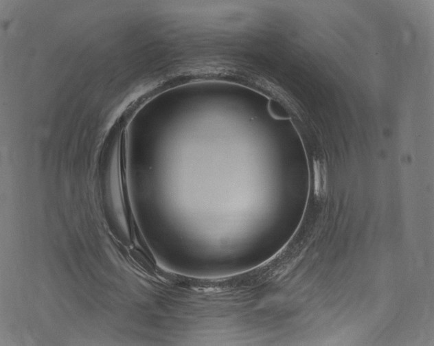 X0000073730723200608171228