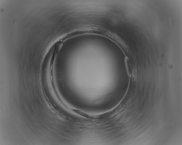 X0000073730724200608171228