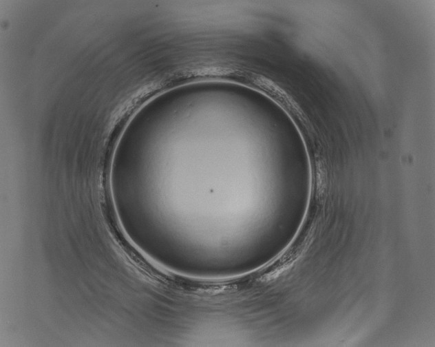 X0000073730725200608171228