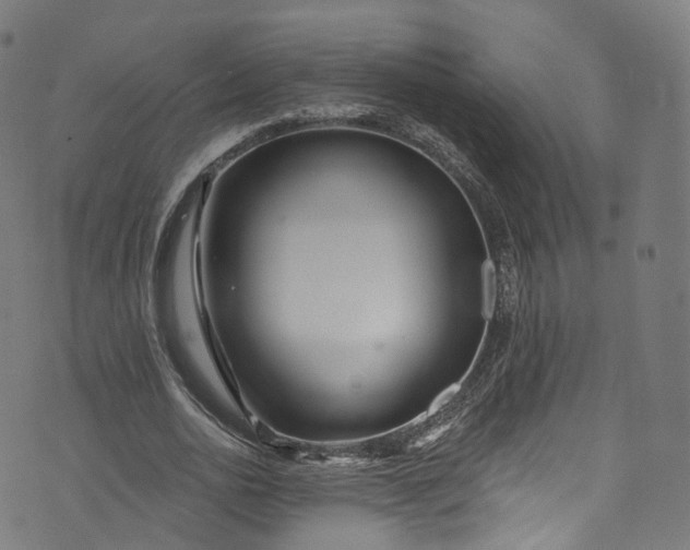 X0000073730726200608171228