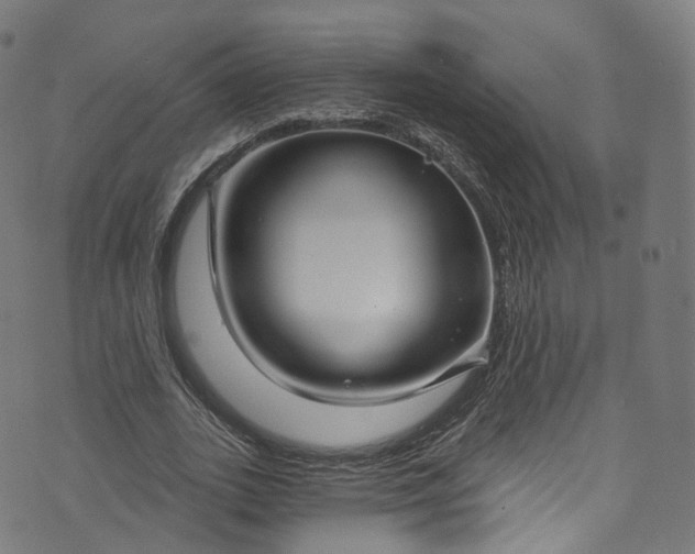 X0000073730727200608171228