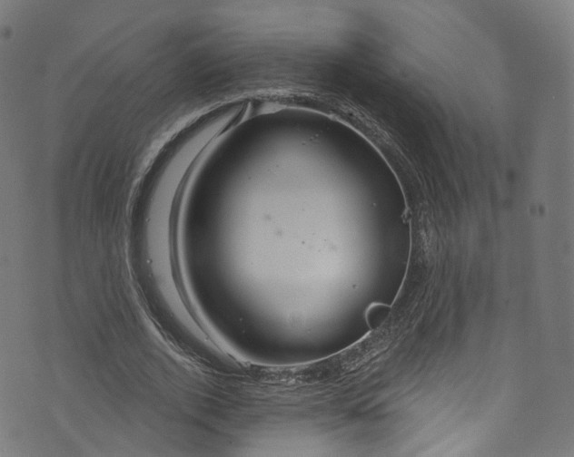 X0000073730728200608171228