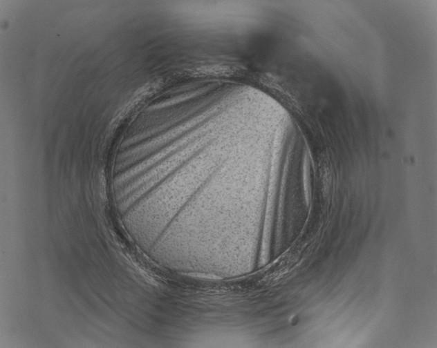 X0000073730729200608171228