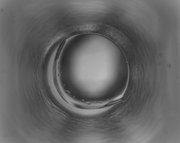 X0000073730731200608171228