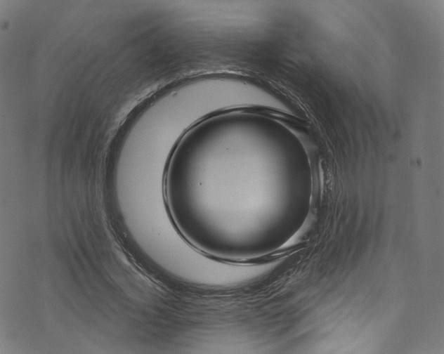 X0000073730732200608171228