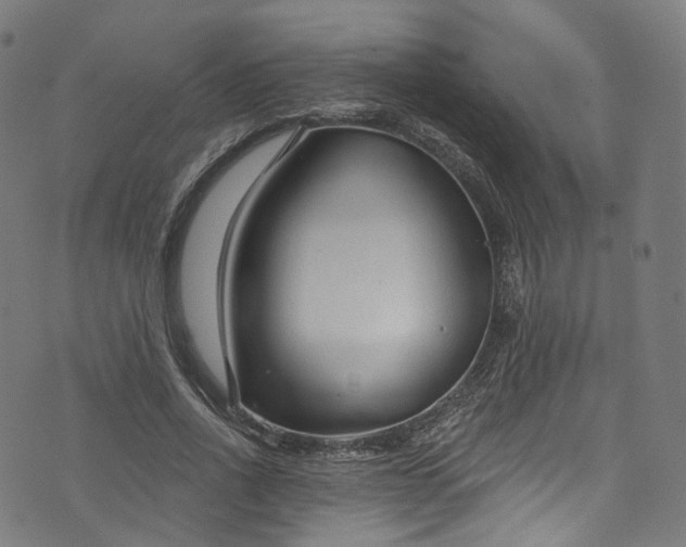 X0000073730734200608171228