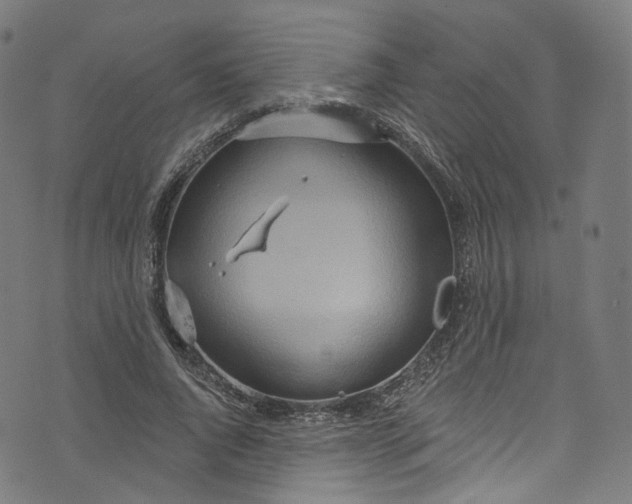 X0000073730736200608171228