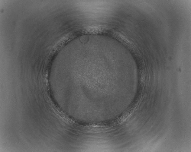 X0000073730737200608171228